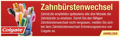 Zahnbürstenreminder