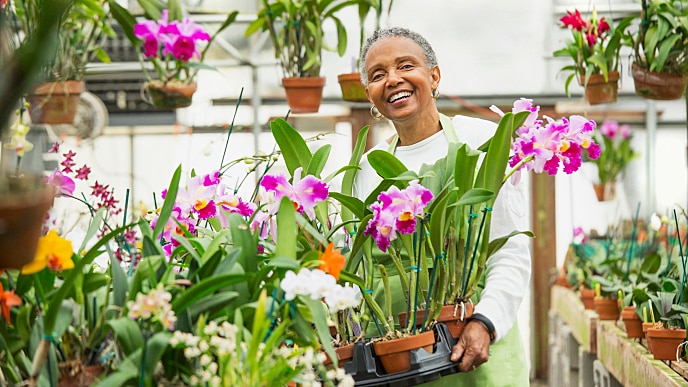 Was kostet eine Keramikkrone?
