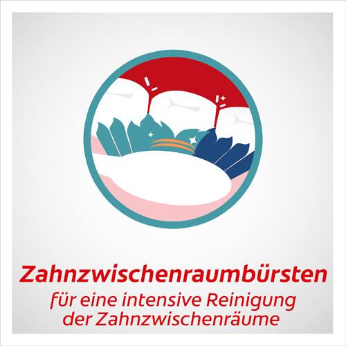 Zahnzwischenraumbursten